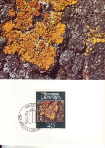 FL 0776 / 0779 MC ● - 1981